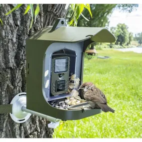 Bird Feeder and Camera