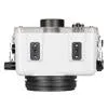 Ikelite 200DLM/A Underwater TTL Housing for Olympus OM-D E-M10 Mark III Mirrorless Micro Four-Thirds Cameras